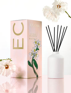 Citrus Blossom & Magnolia Ceramic Diffuser